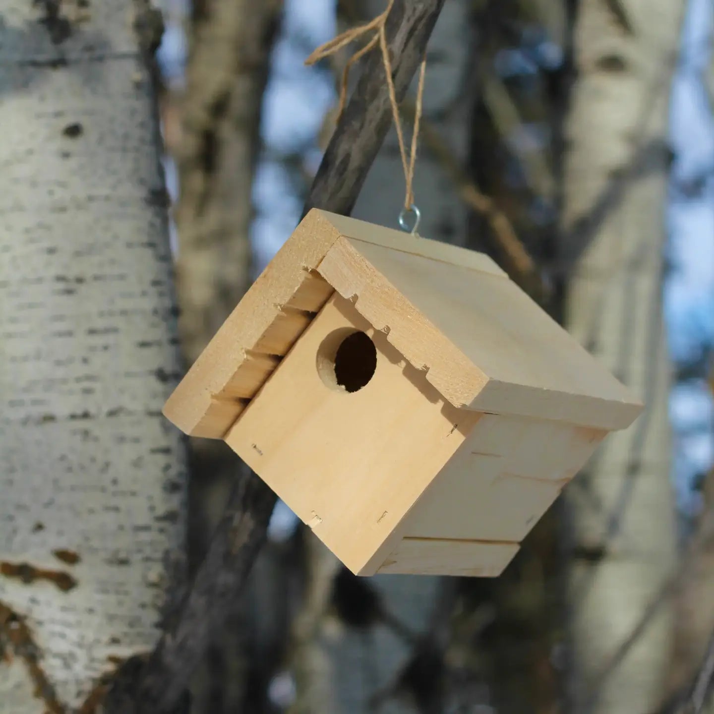 Opalulu Bird House Kits