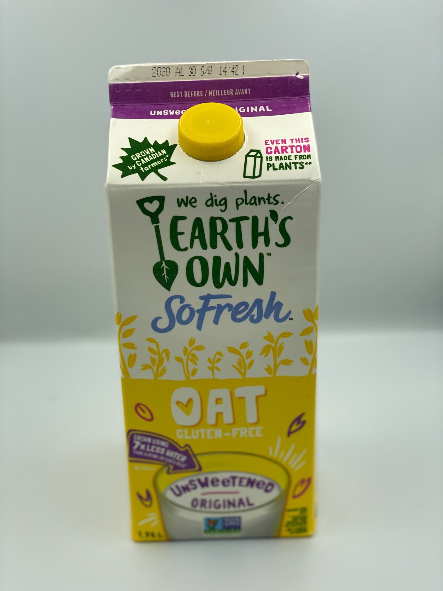 Plant Milk Alternatives