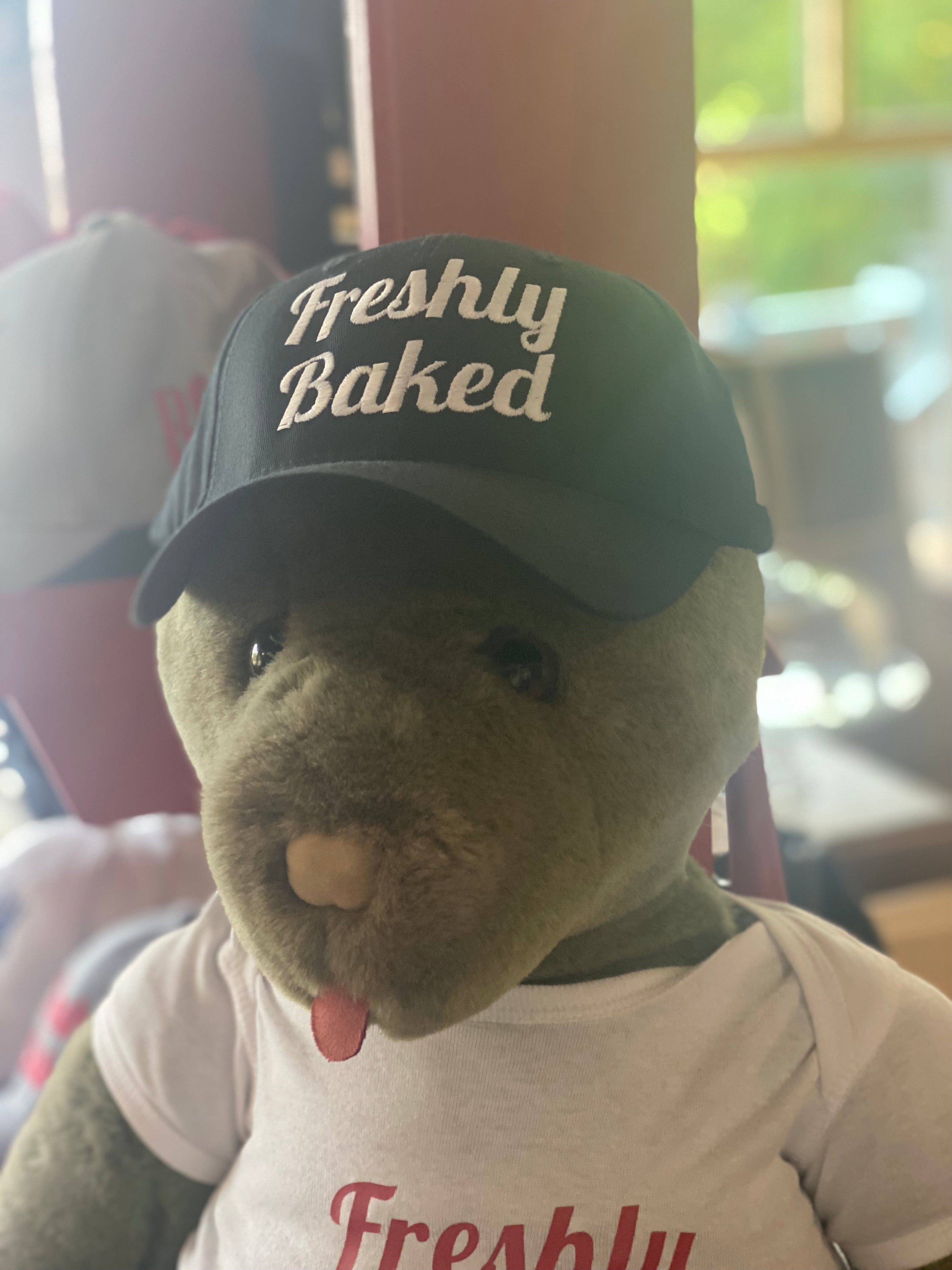 Rosemont General Store Baseball Hats