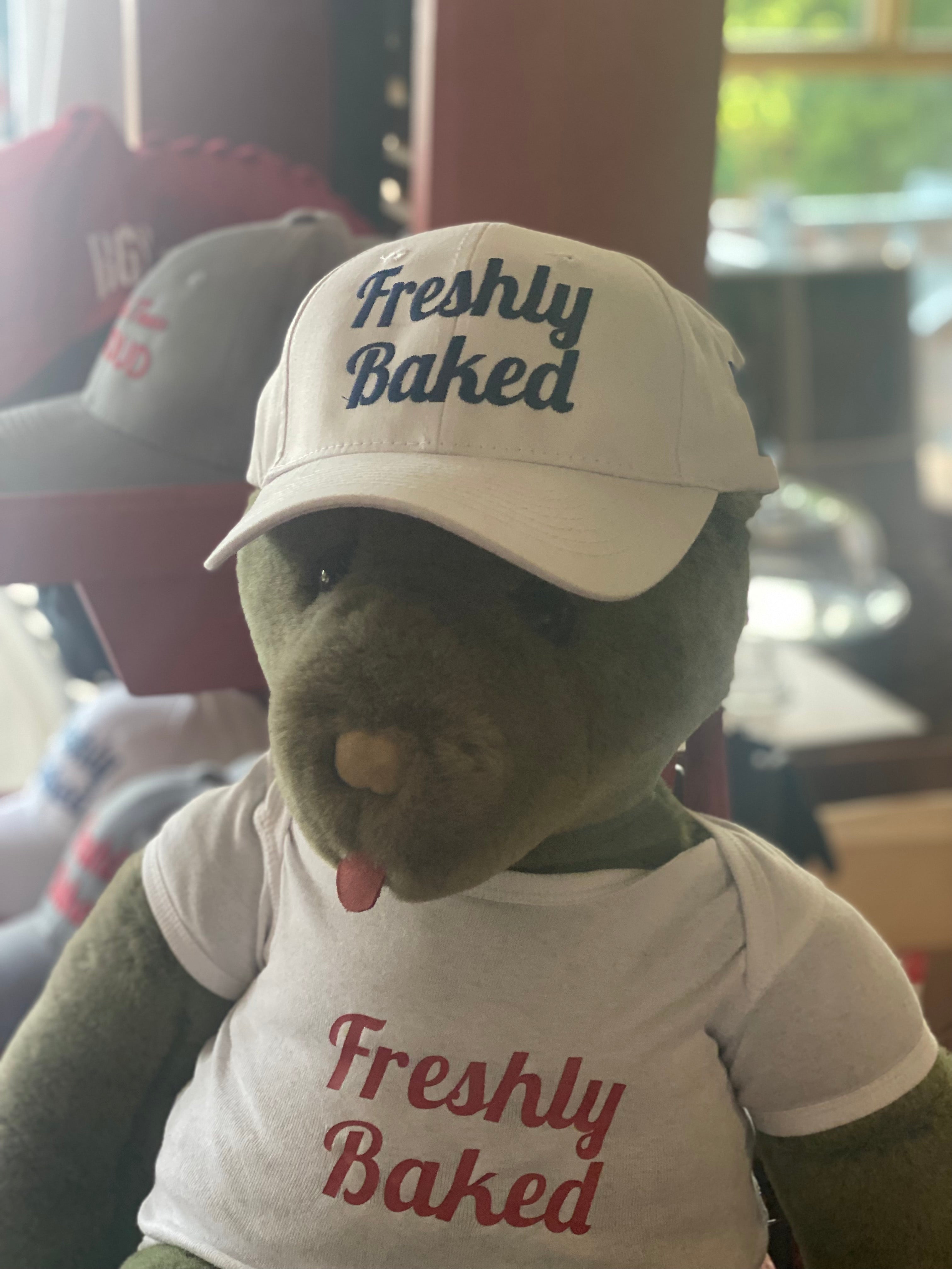 Rosemont General Store Baseball Hats