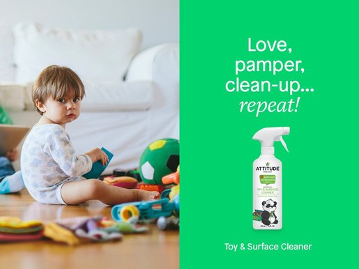 Attitude Toy and Surface Cleaner