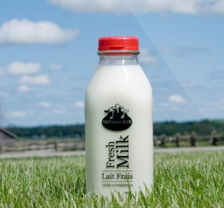 Sheldon Creek Dairy Whole Milk