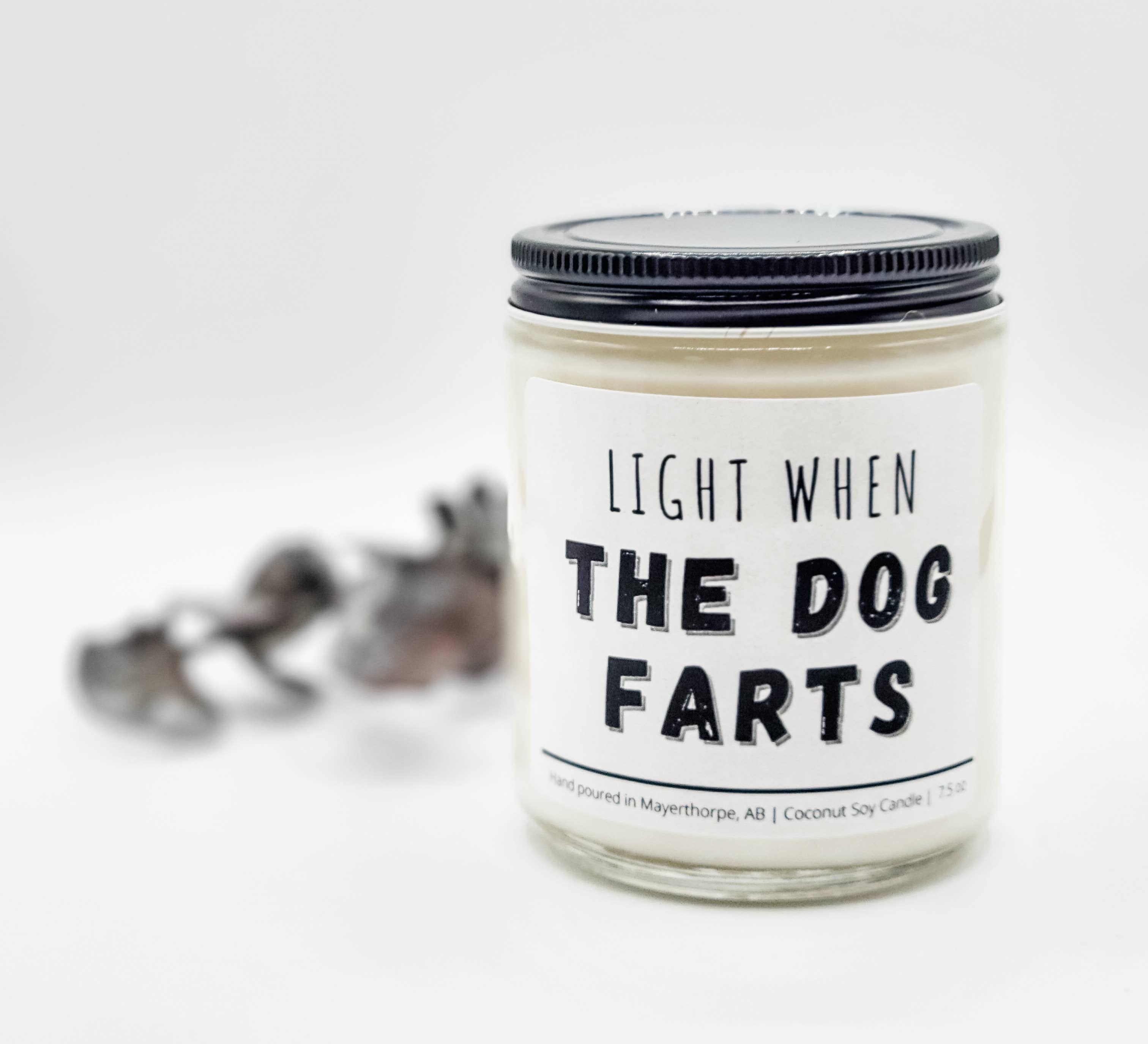 Light when Dog Farts - Funny, Rude, Sweary Candle, Naughty